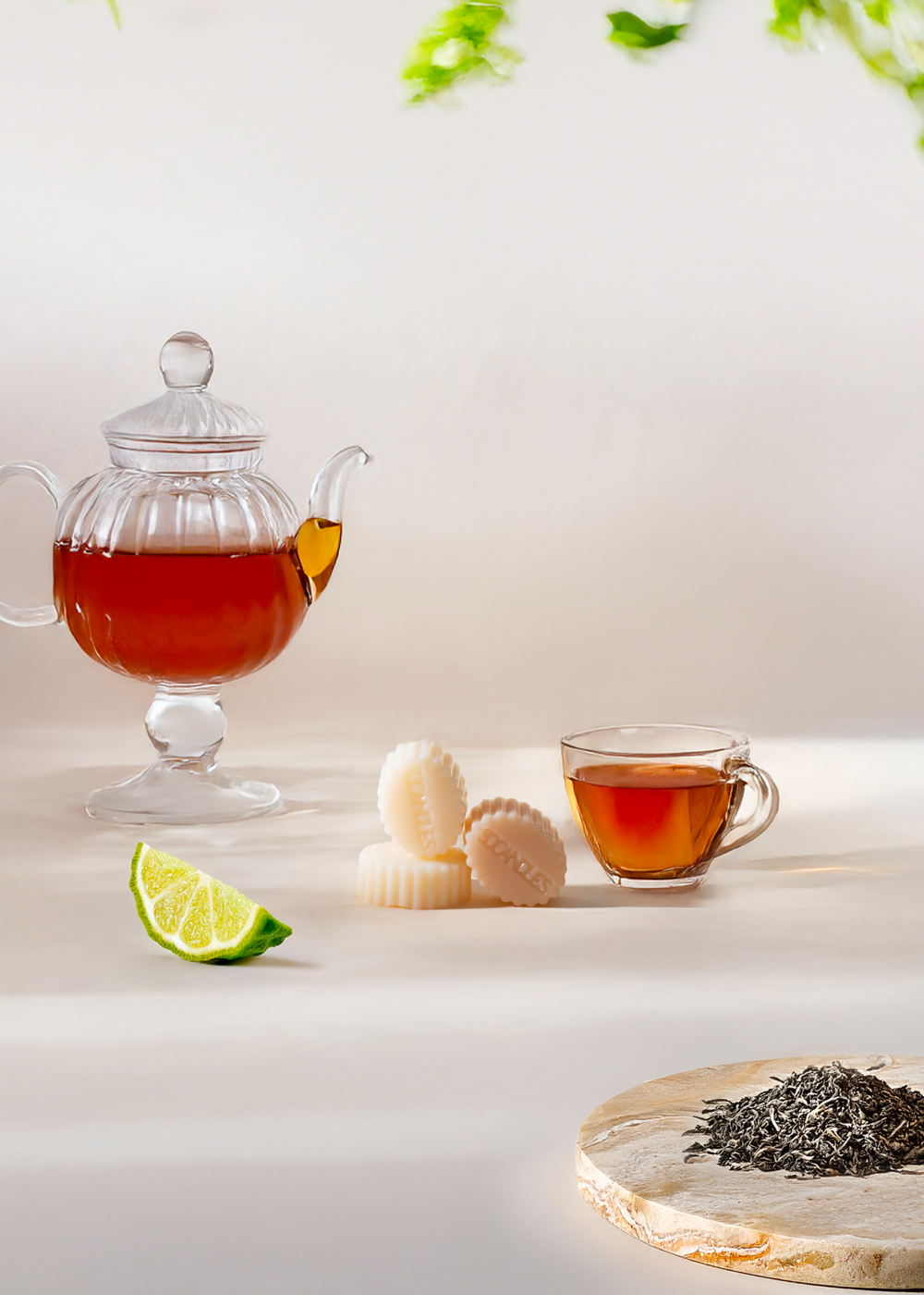 Thé Blanc & Bergamote